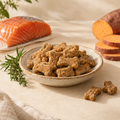 Grain-Free Sweet Potato & Salmon Treats — natural dog treats on ceramic dish